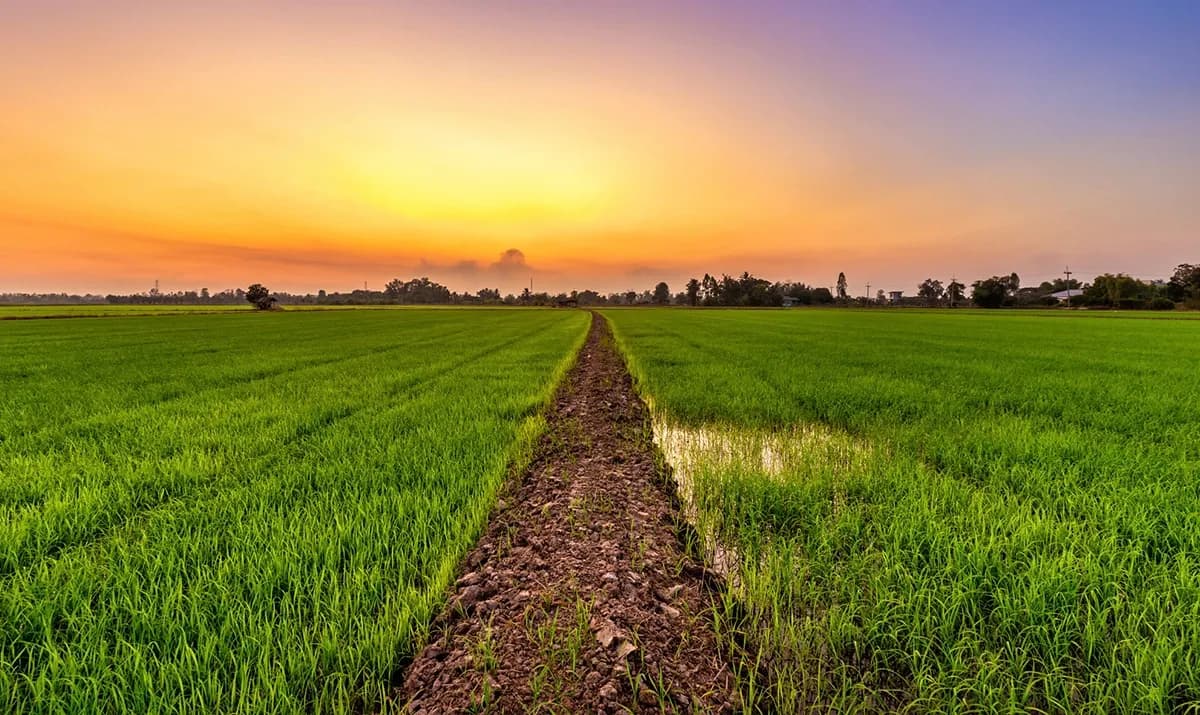 Precision Agriculture