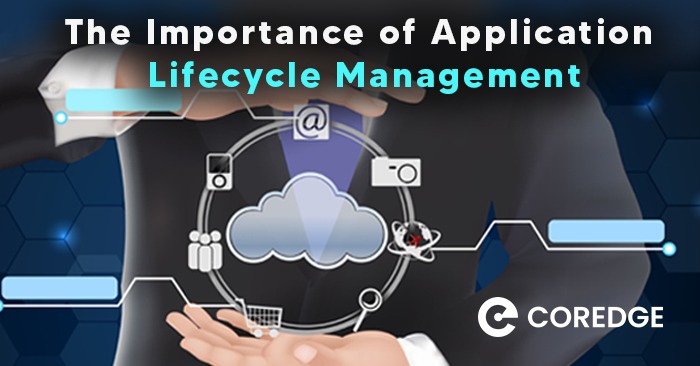 Maximizing Efficiency and Minimizing Risk: The Importance of Application Lifecycle Management